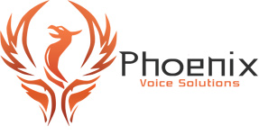 Voice Solutions Phoenix